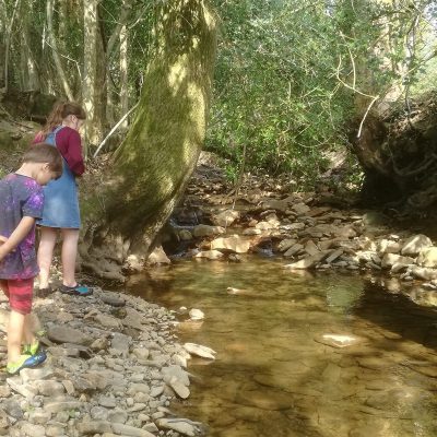 Exploring the beautiful River Clydach