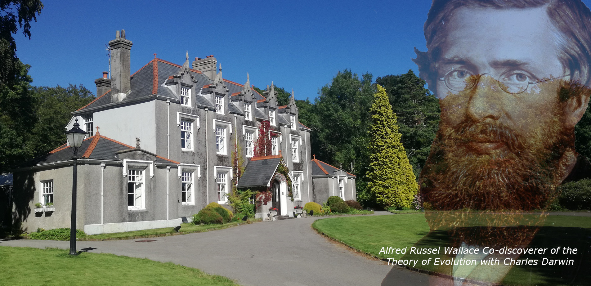 Nature Retreat Plas Cilybebyll Manor House